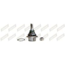 Pivô de Suspensão Inferior Direito / Esquerdo Ford Ranger 2.3 16V/2.5 8V/3.0 16V 1997 À 2012 Explorer 4.0 12V/5.0 16V 19