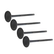 Válvula de Admissão Std Fiat Palio 1.6 16V 2010 À 2017 Siena 1.6 16V 2010 À 2018