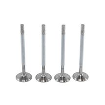 Válvula de Admissão Std Fiat Palio 1.0 16V/1.3 16V 2000 À 2003 Siena 1.0 16V/1.3 16V 2000 À 2003 Palio Weekend 1.0 16V/1